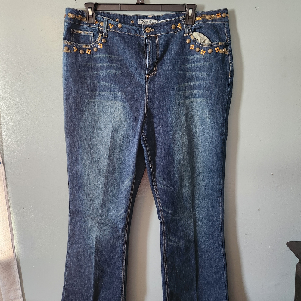 Street Blues Embroidered Jeans